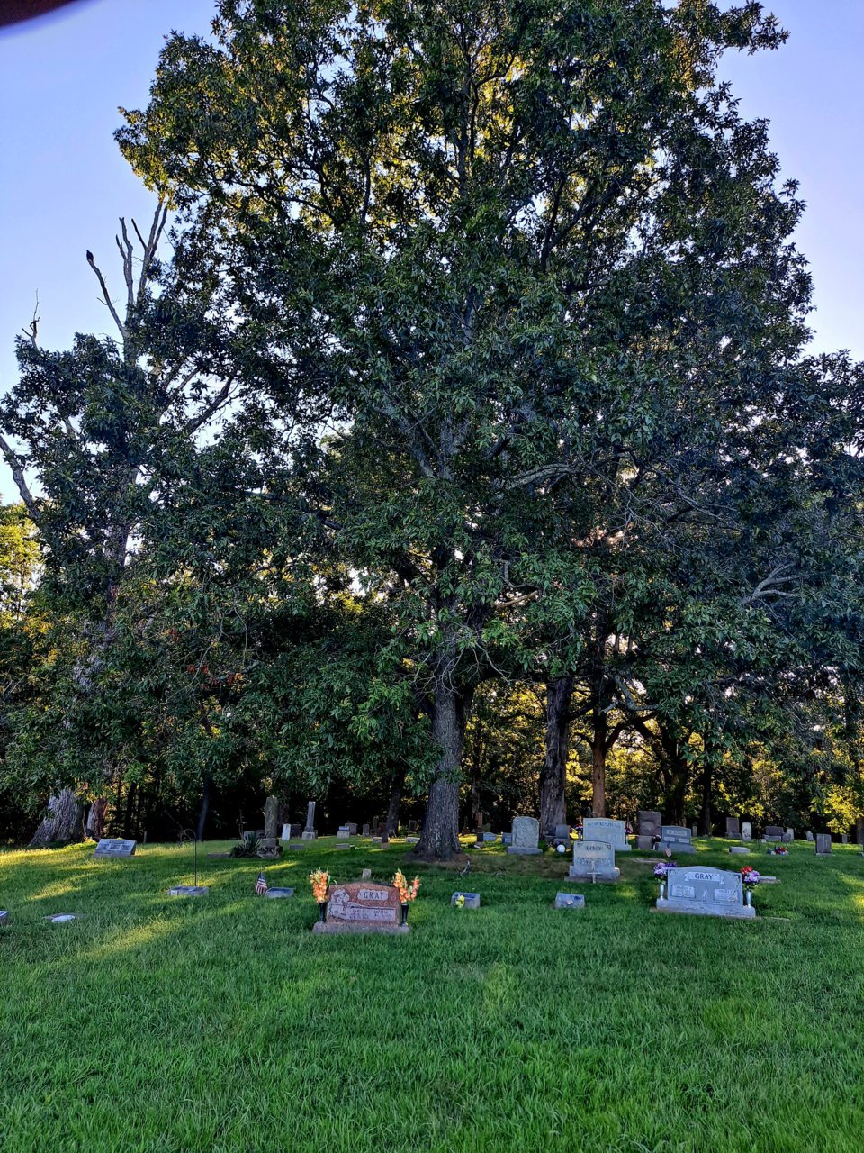 20230830_174402.jpg