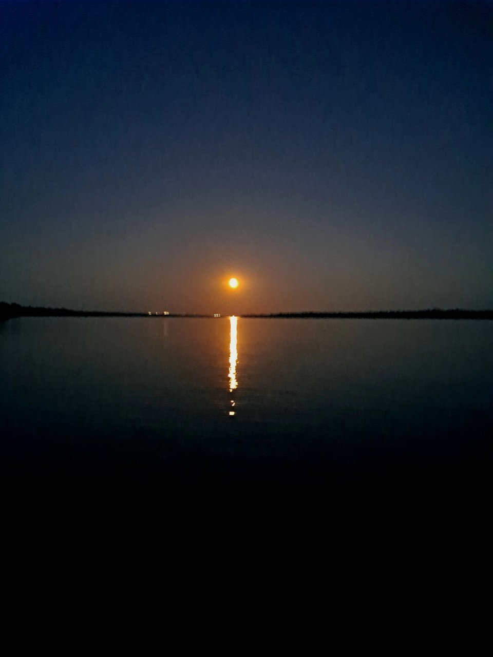 20230830_200541.jpg
