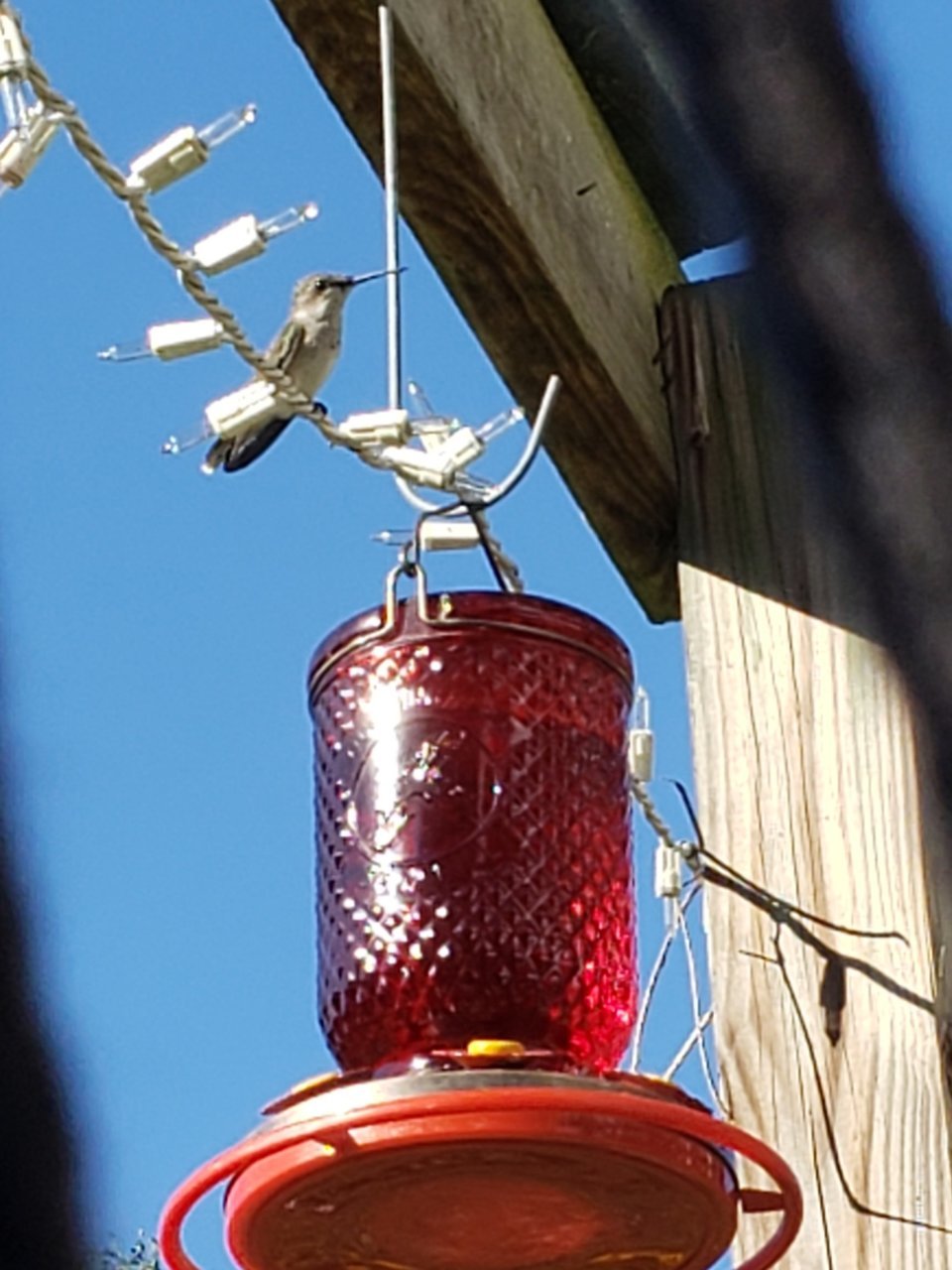 20230831_171326.jpg