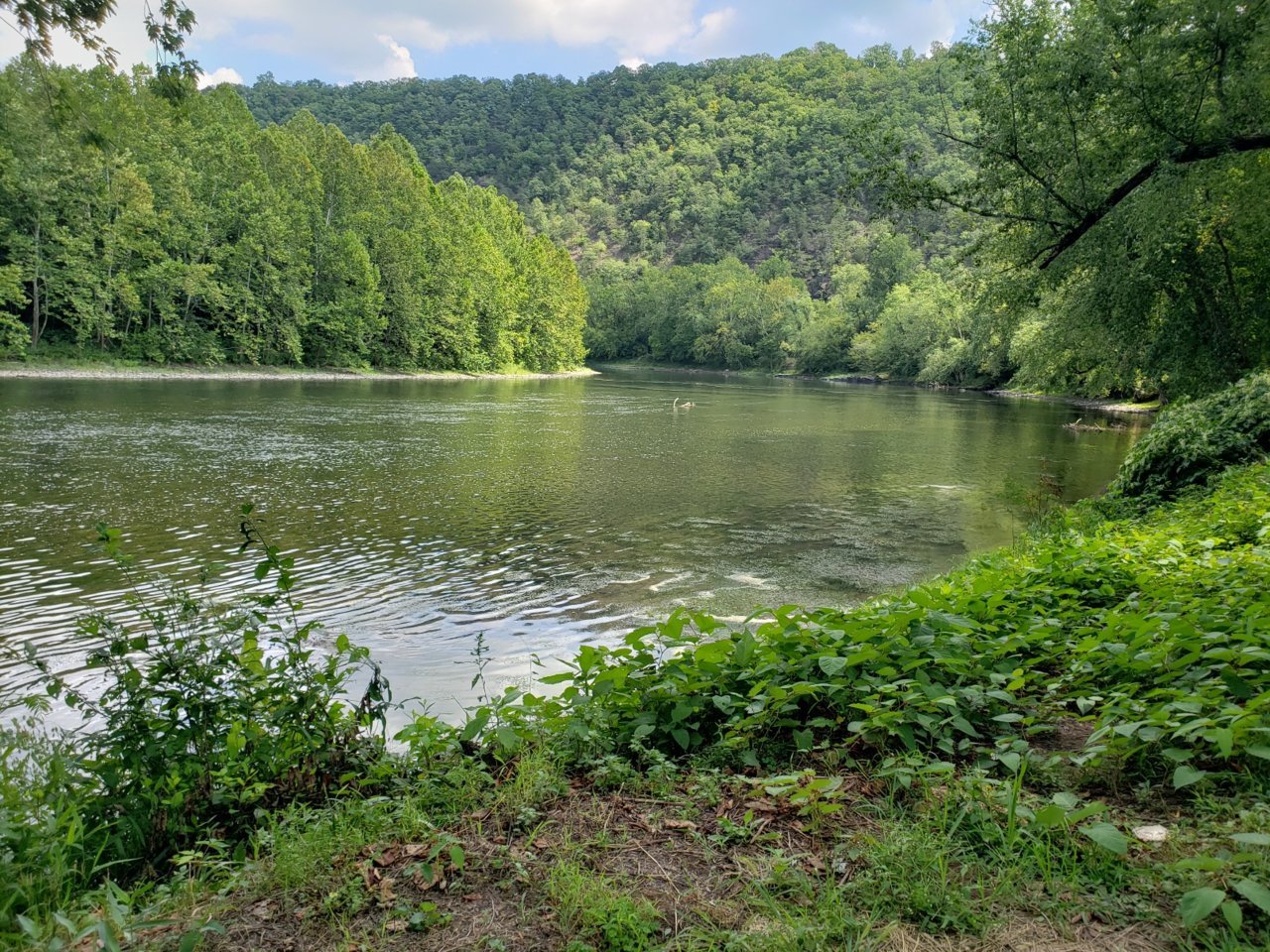 20230901_124214.jpg