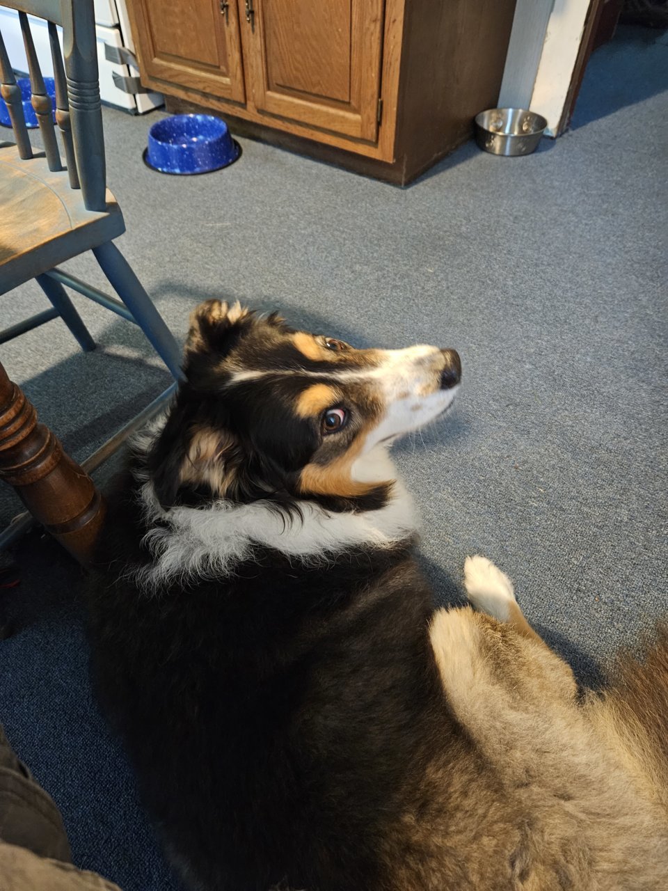 20230902_081722.jpg