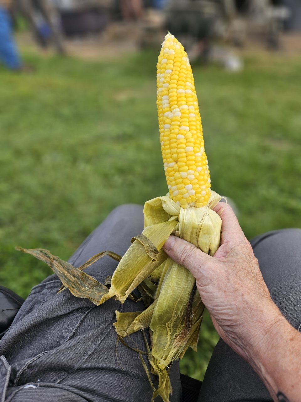20230902_183151.jpg