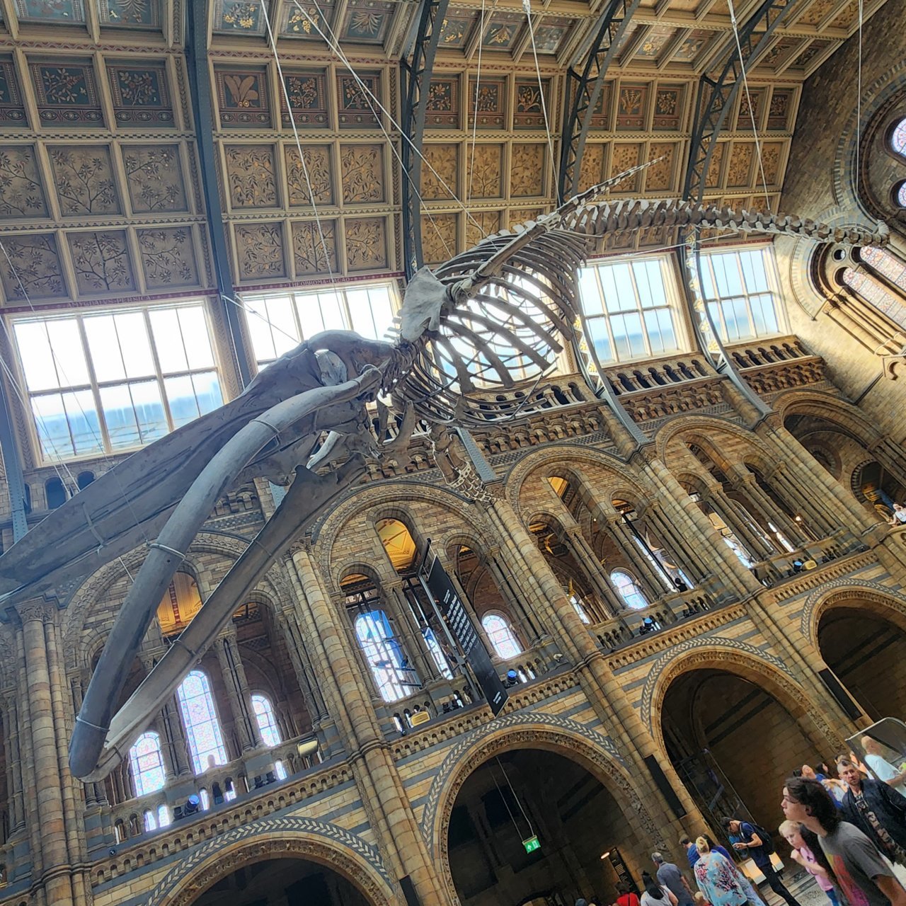 20230903_133333.jpg