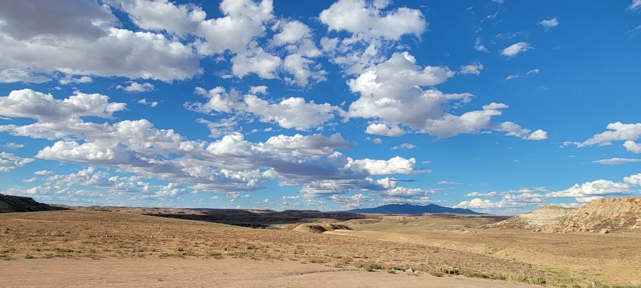 20230903_175452.jpg