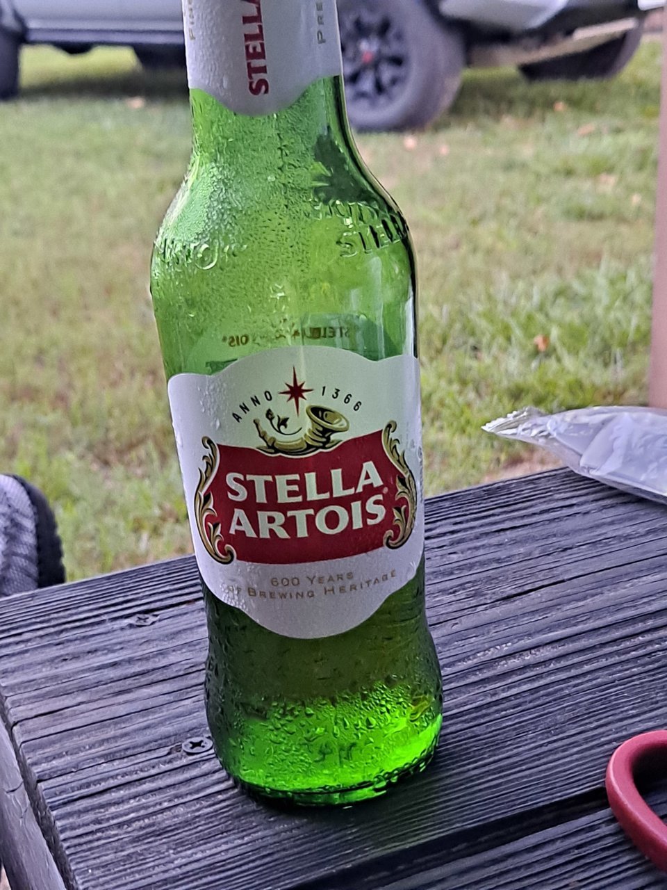 20230903_191709.jpg