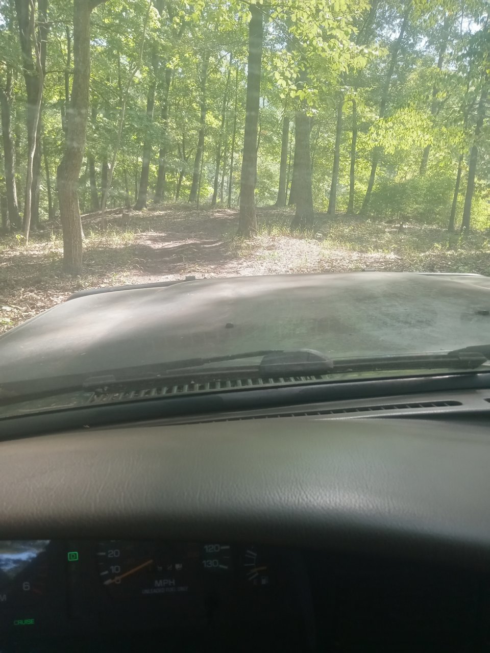20230905_124725.jpg