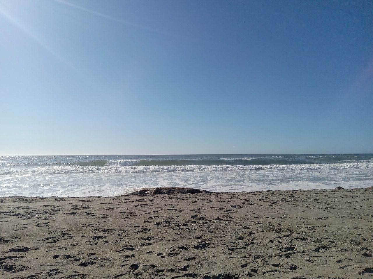 20230905_165421.jpg