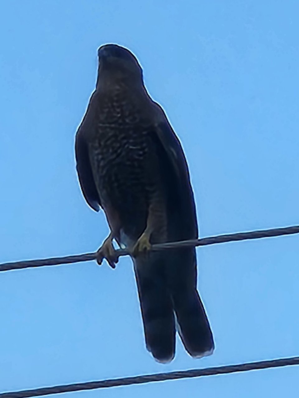 20230907_190123.jpg