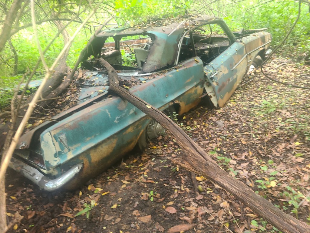 20230908_131212.jpg