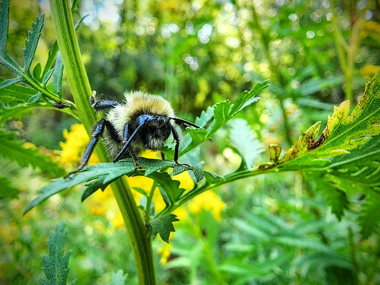 20230909_112920~2.jpg