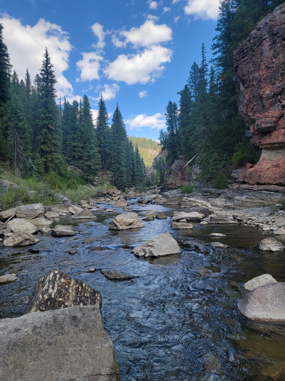 20230909_133259.jpg