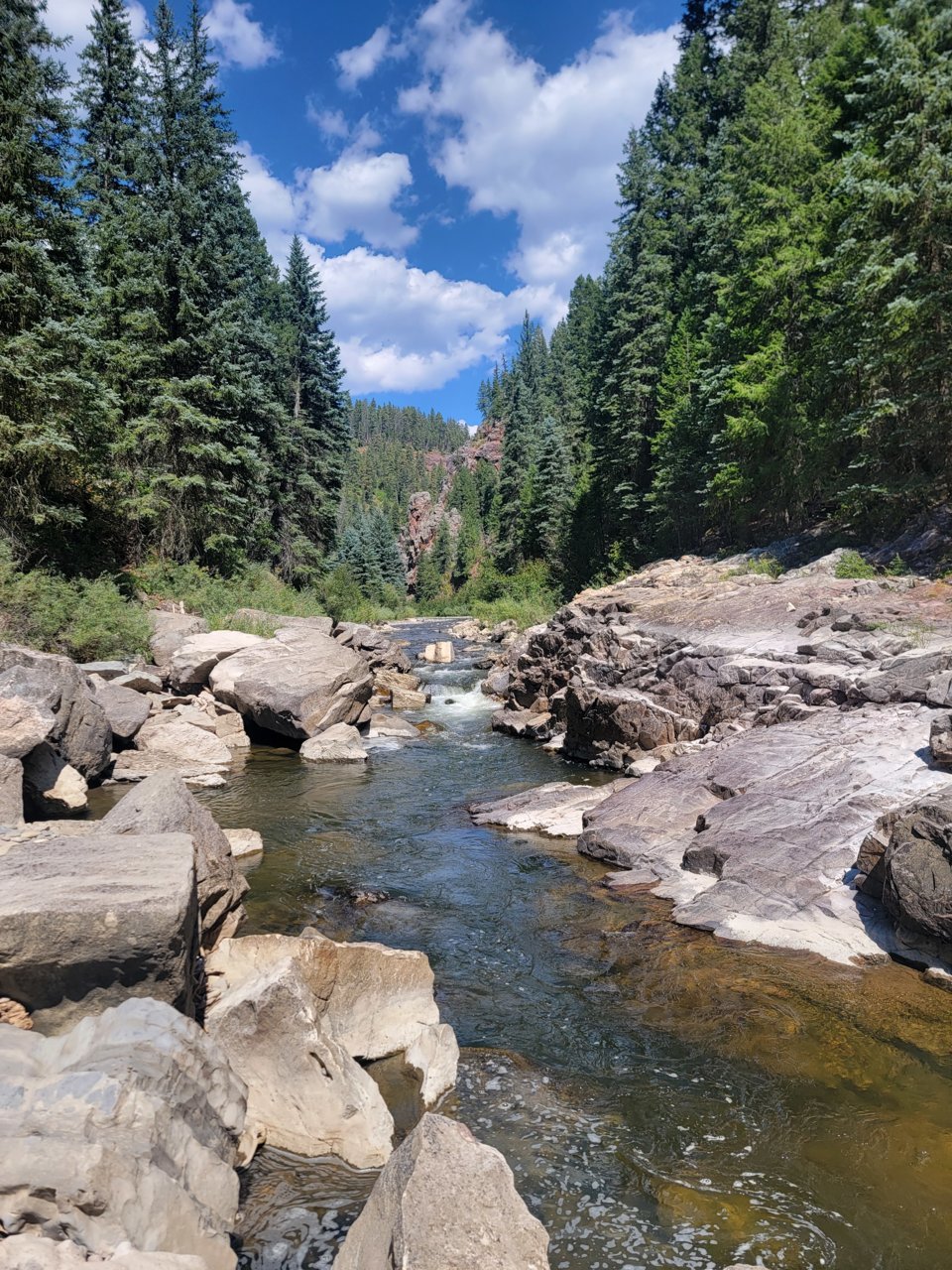 20230909_140512.jpg