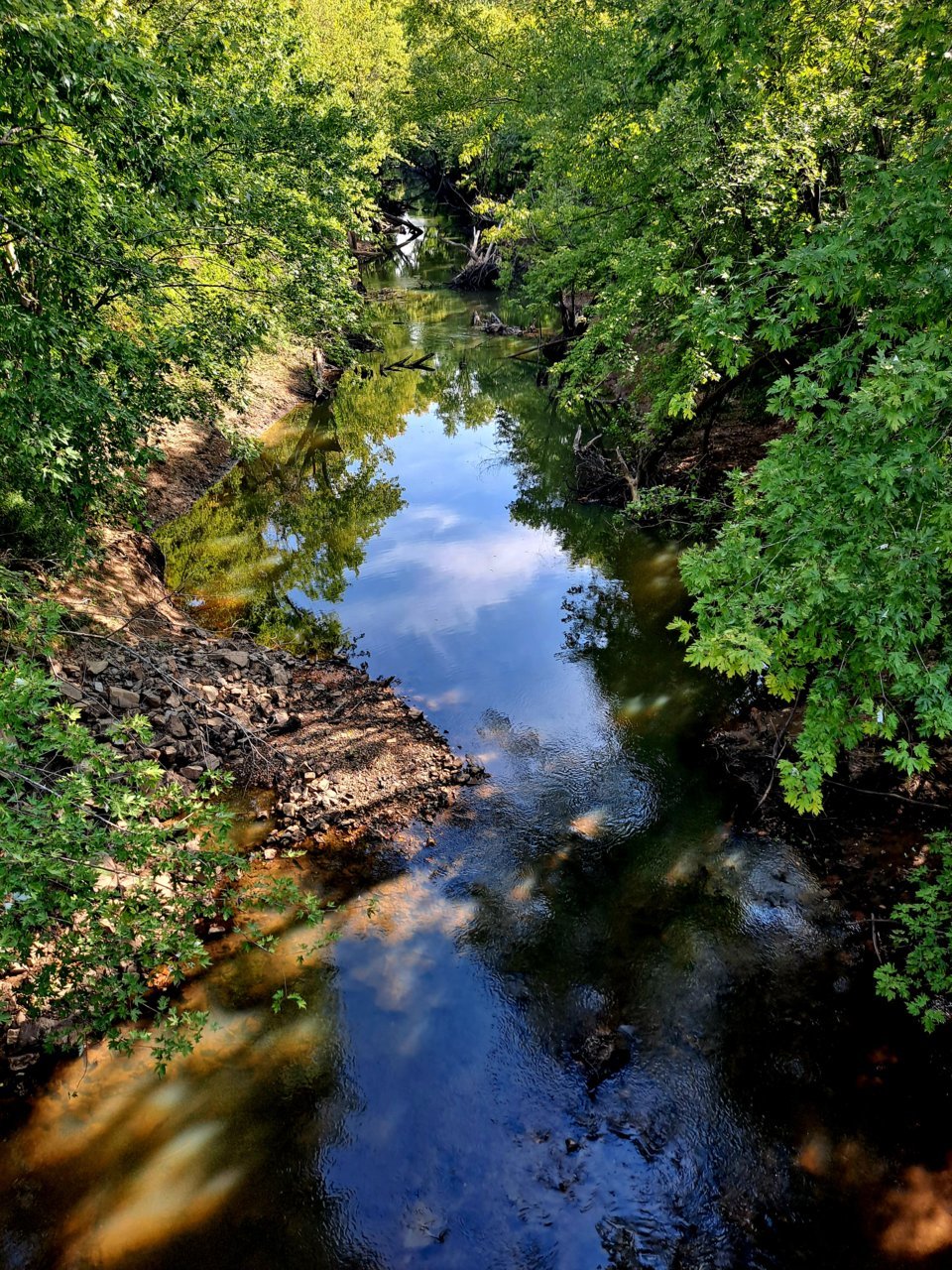 20230913_154455.jpg