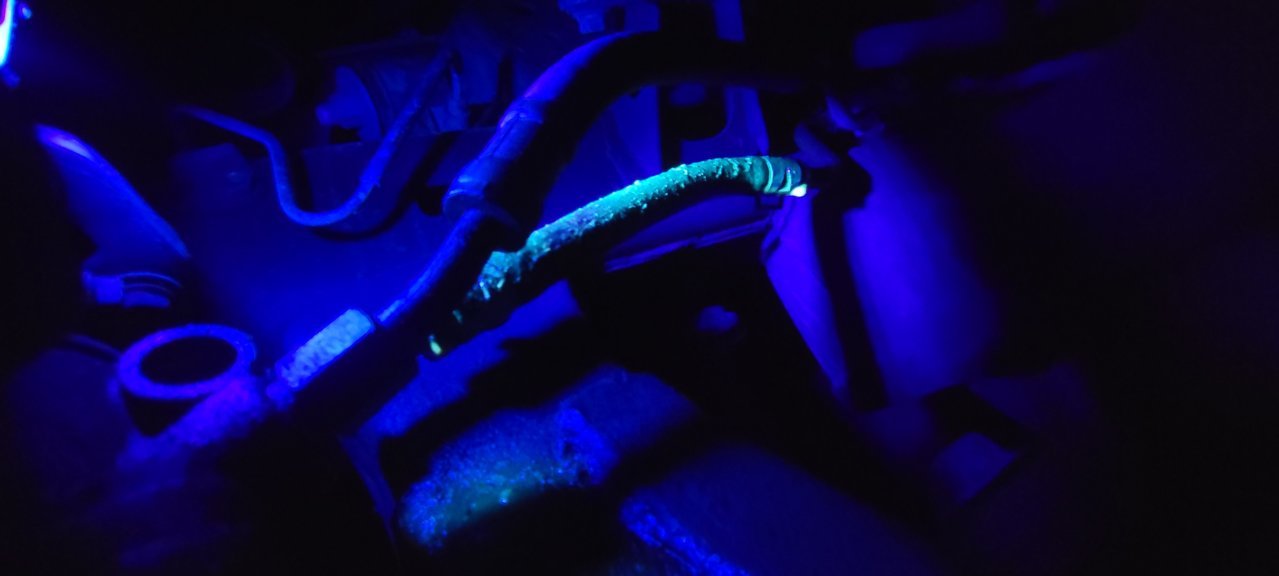 20230913_200024.jpg