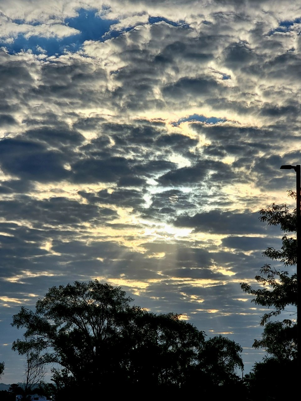 20230914_080809.jpg