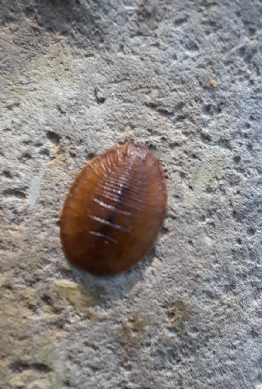 20230914_173203.jpg