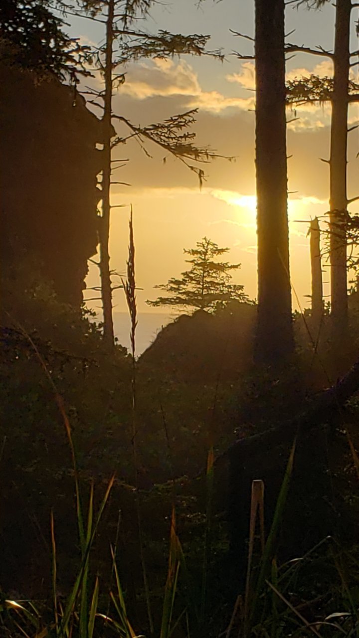 20230917_075225.jpg