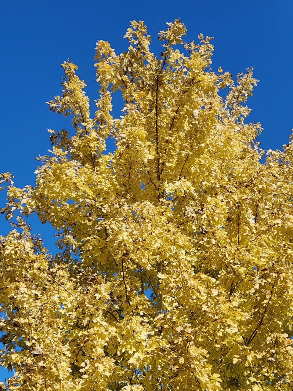 20230917_104750.jpg
