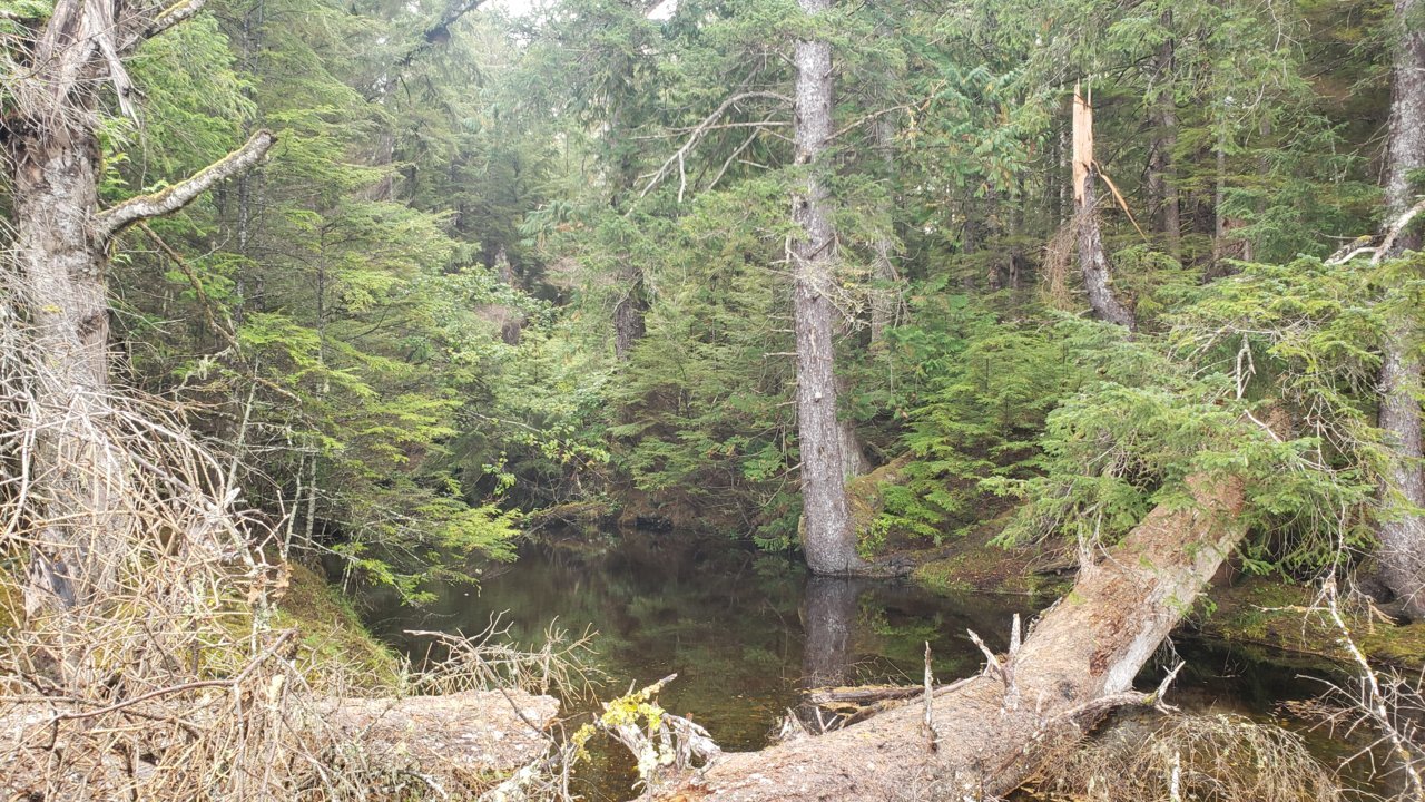 20230917_133215.jpg