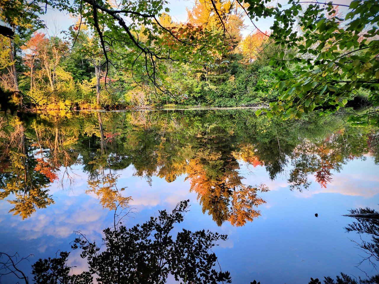 20230917_184756~2.jpg
