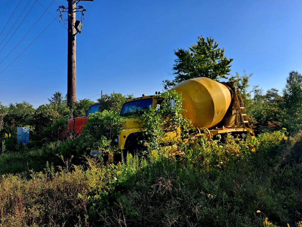 20230919_085142.jpg