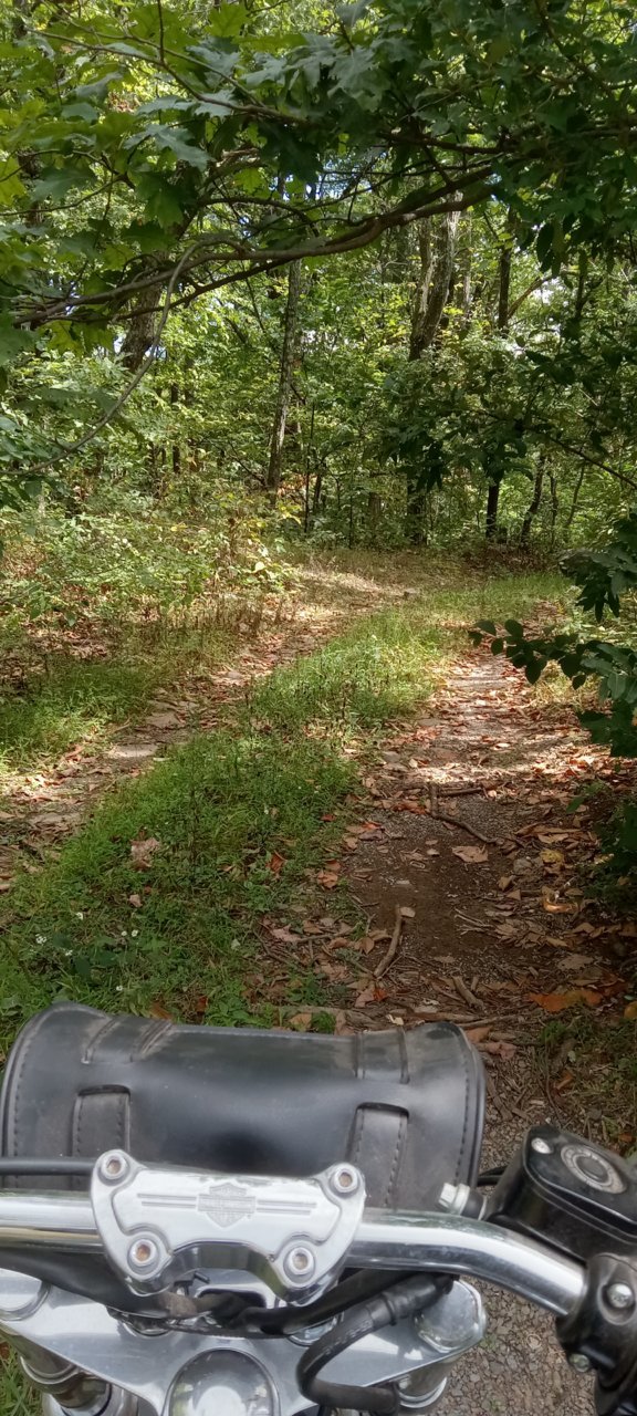 20230919_135743.jpg