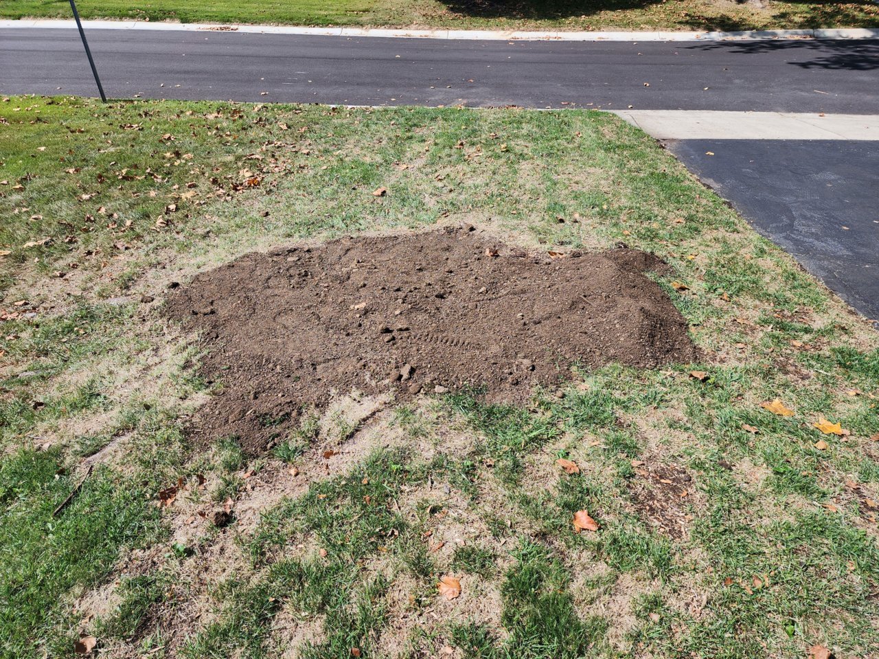 20230920_120931.jpg