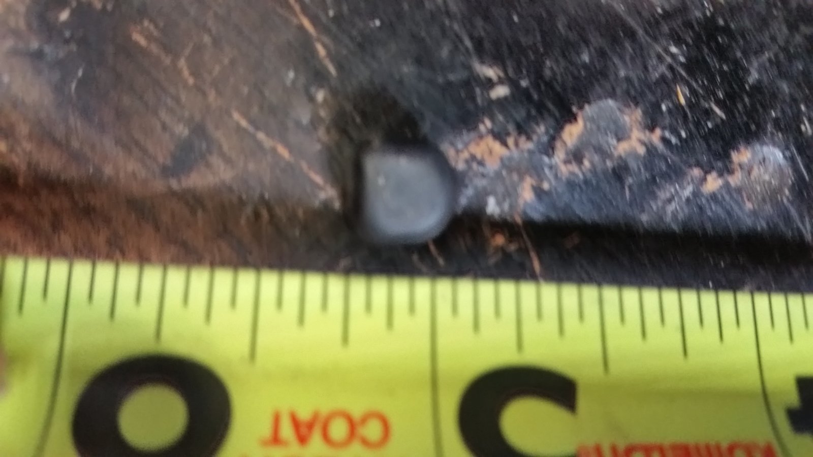 20230920_184606.jpg