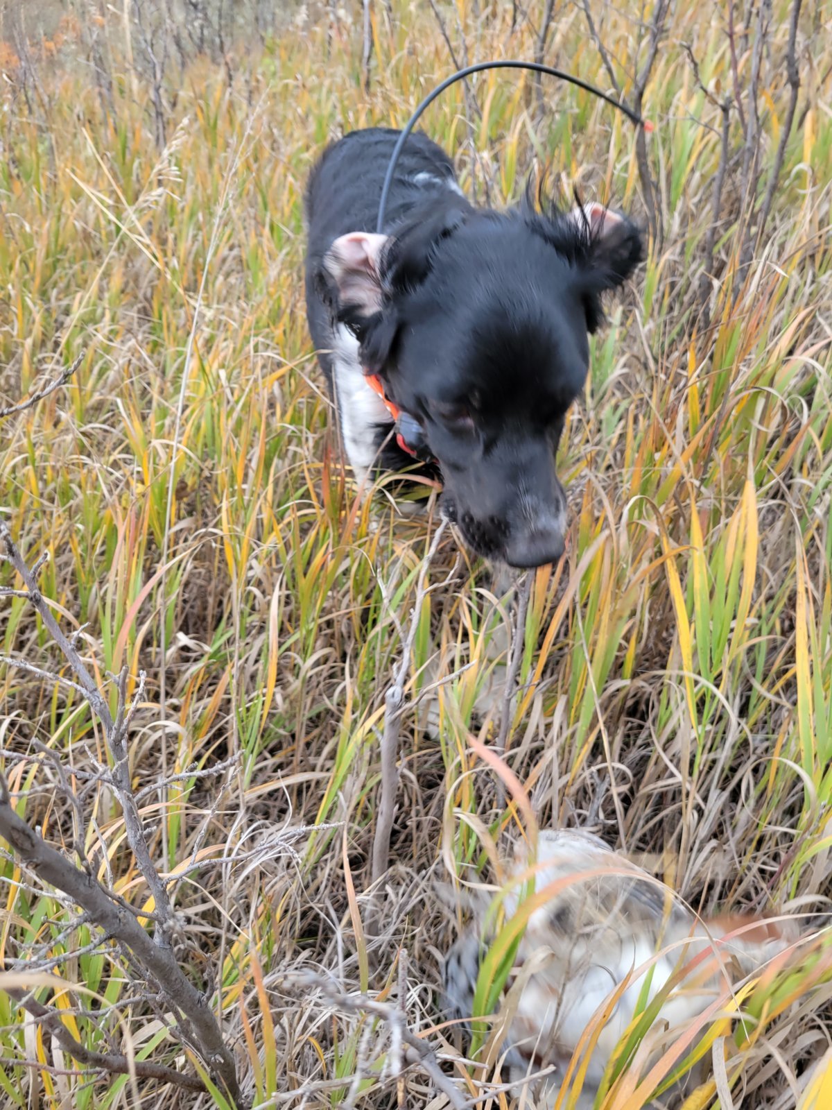 20230921_103120.jpg