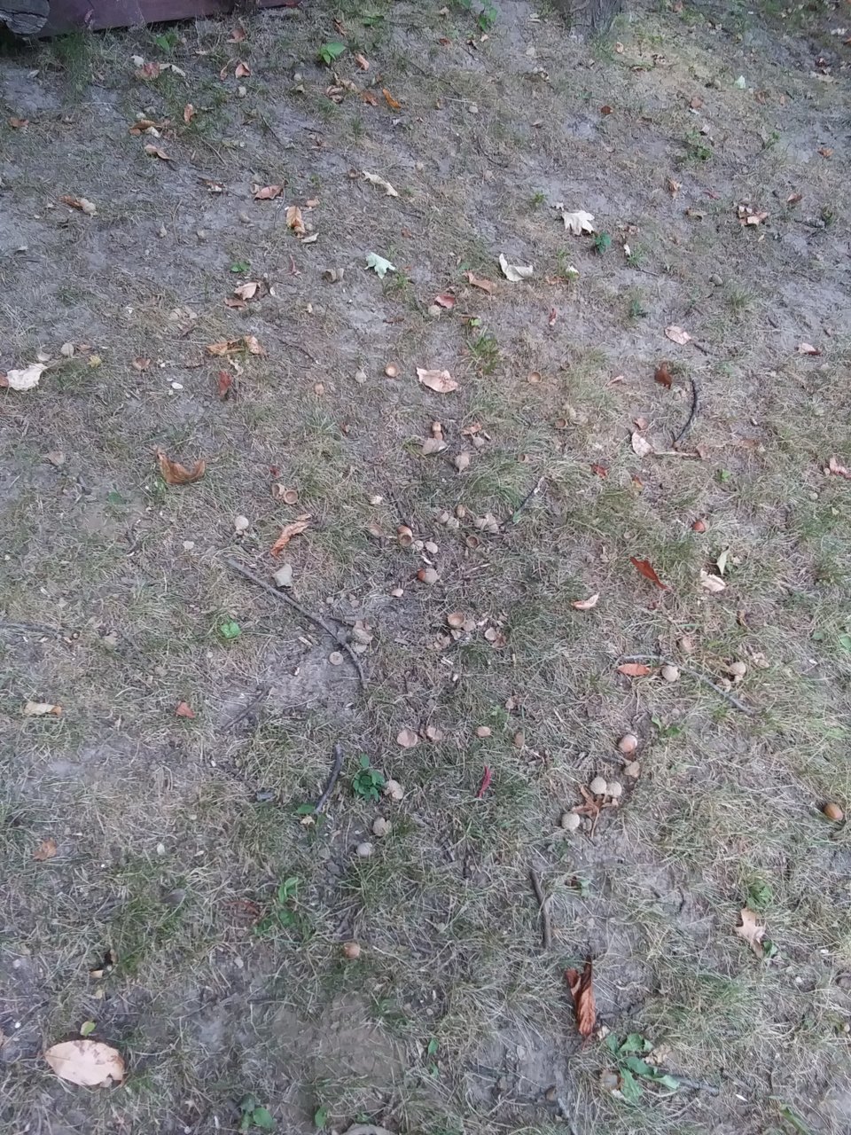 20230921_162503.jpg