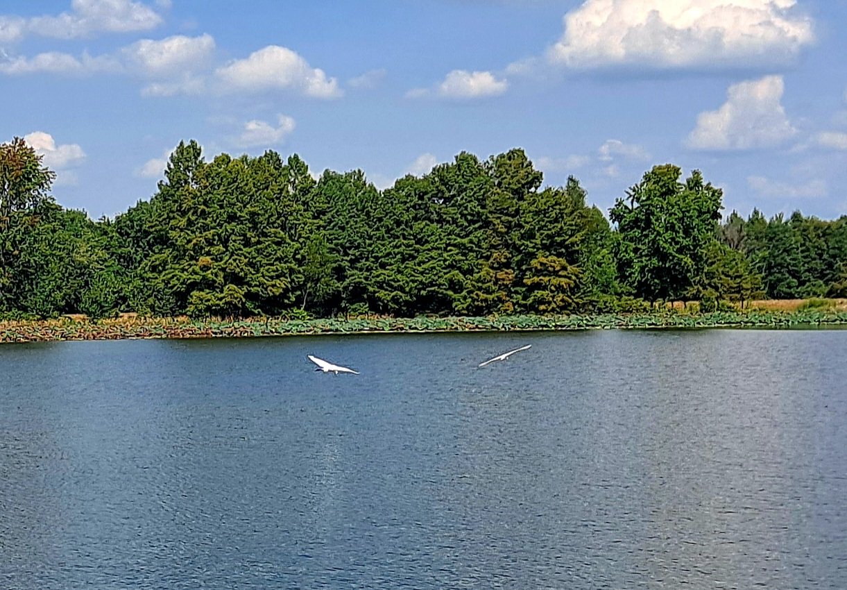 20230922_135758.jpg