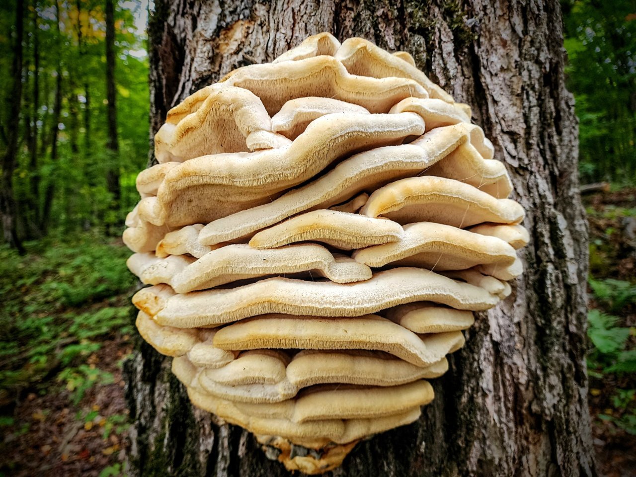 20230922_163819~2.jpg