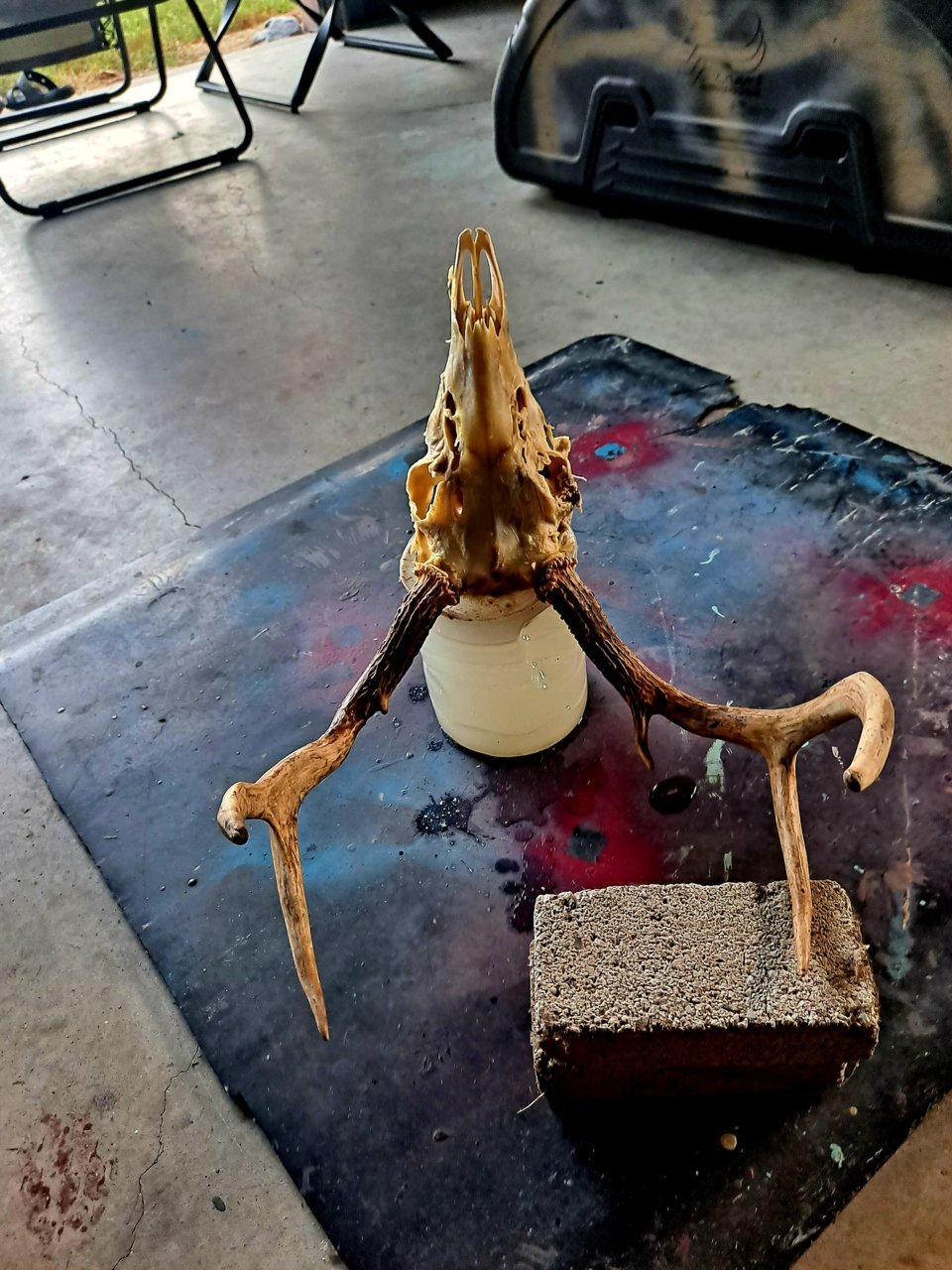 20230923_175326.jpg