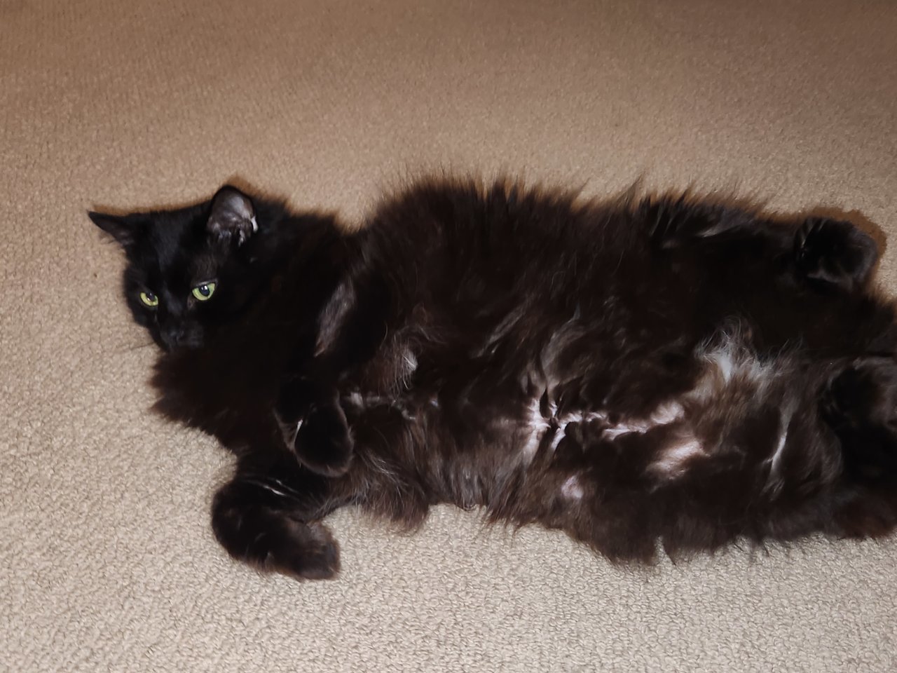 20230923_205011.jpg