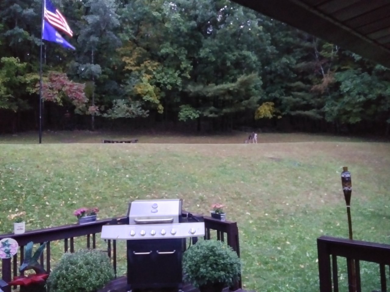 20230924_072653_HDR.jpg