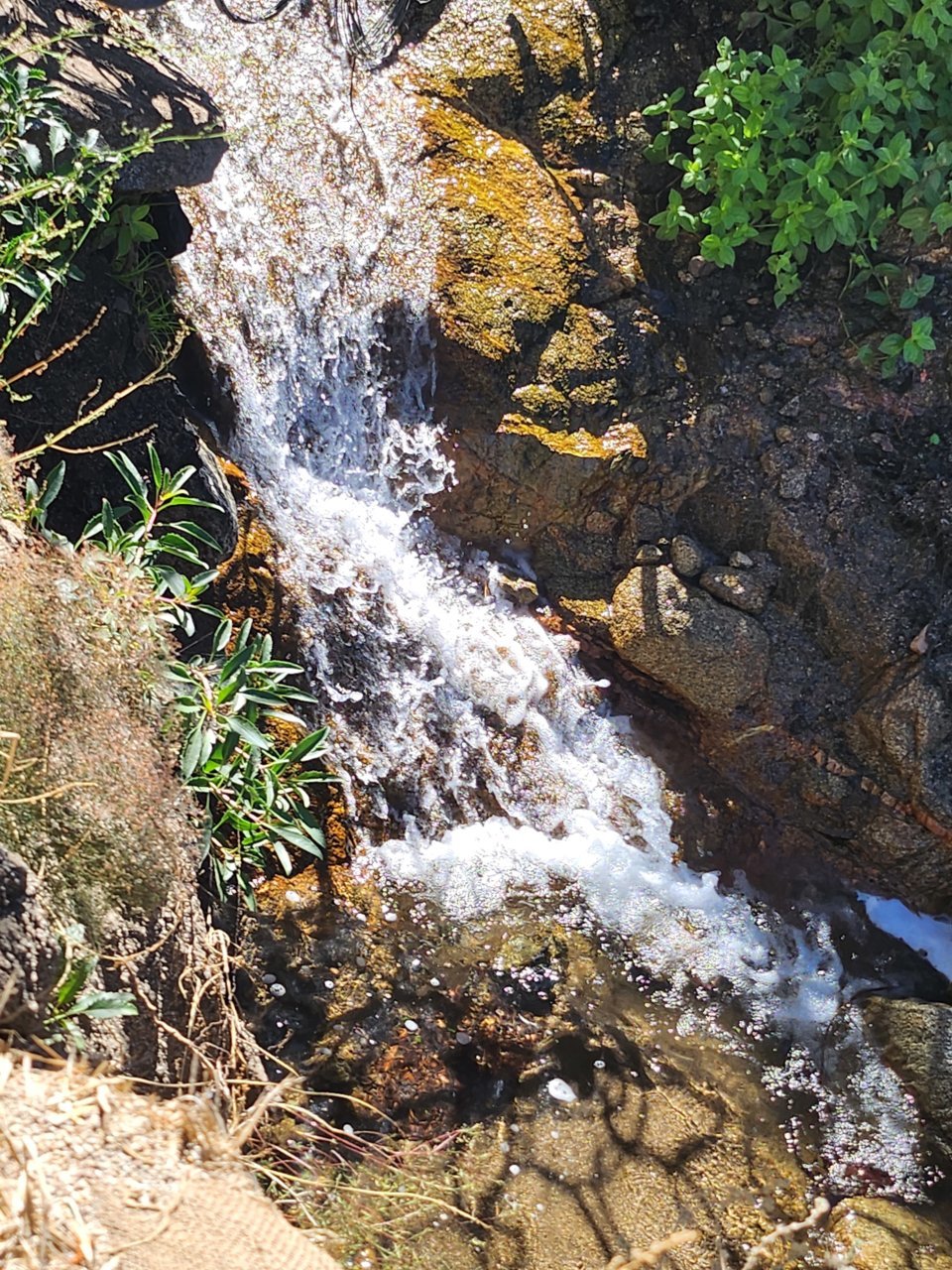 20230924_102926.jpg