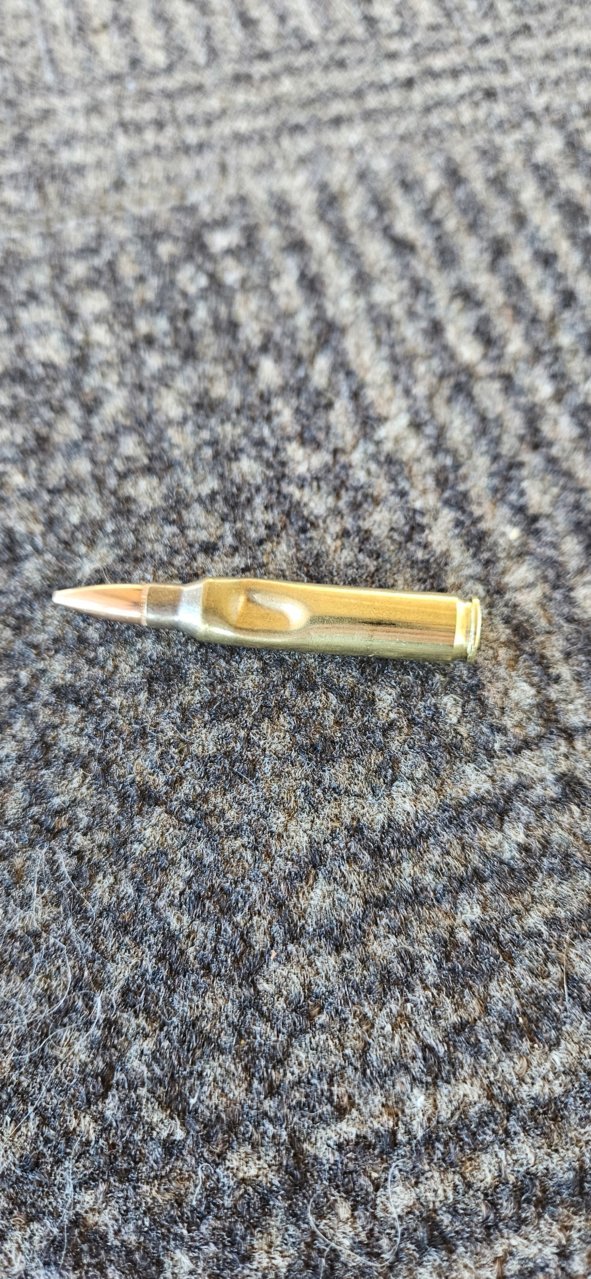 20230924_120122.jpg