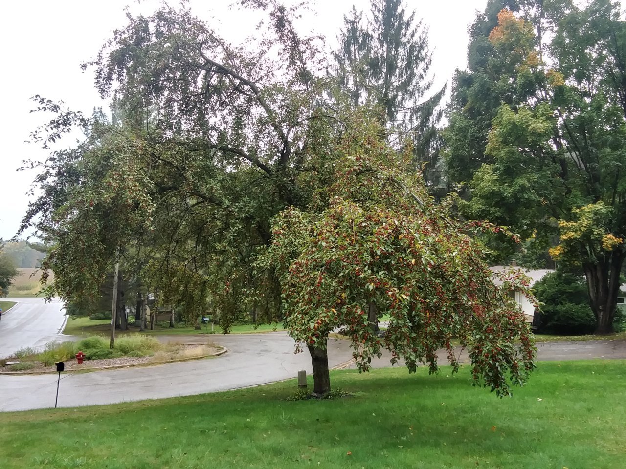 20230925_161105_HDR.jpg