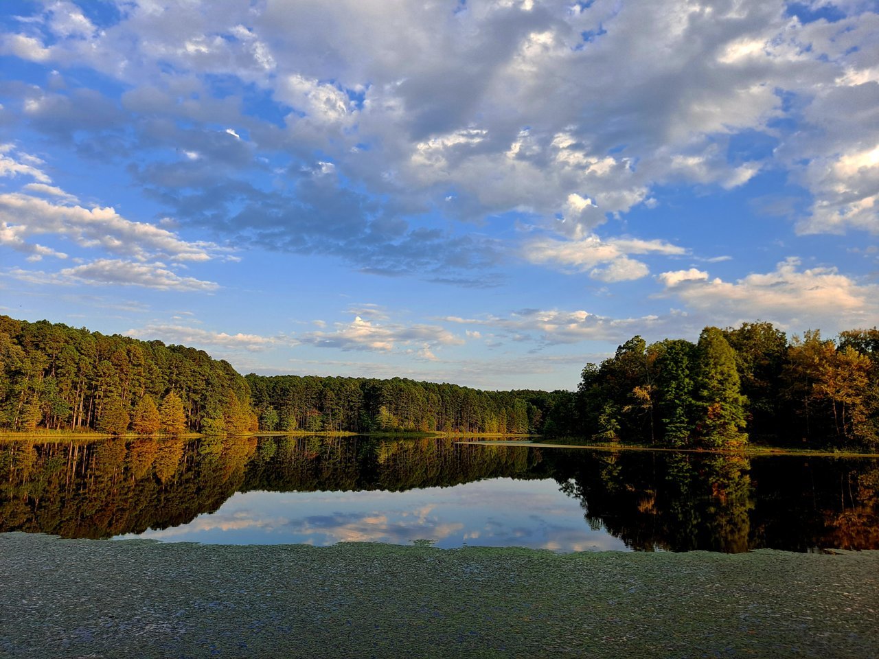 20230927_174458.jpg