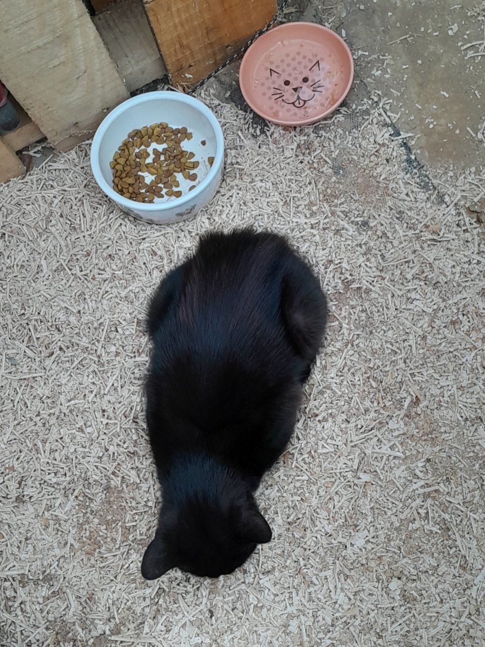 20230927_182046.jpg