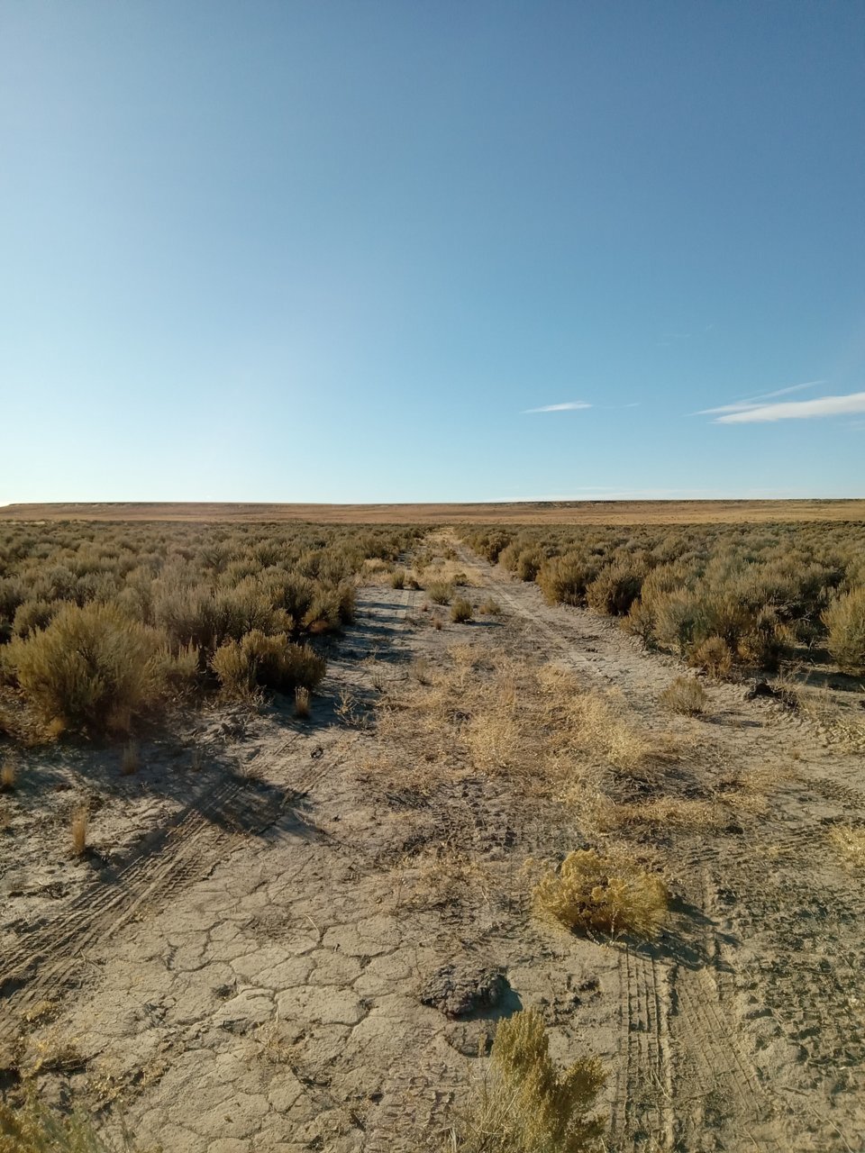 20230928_164847.jpg