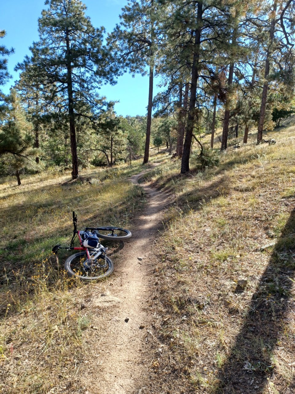 20230930_092154.jpg