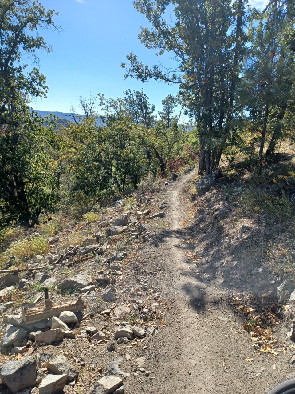 20230930_093707.jpg