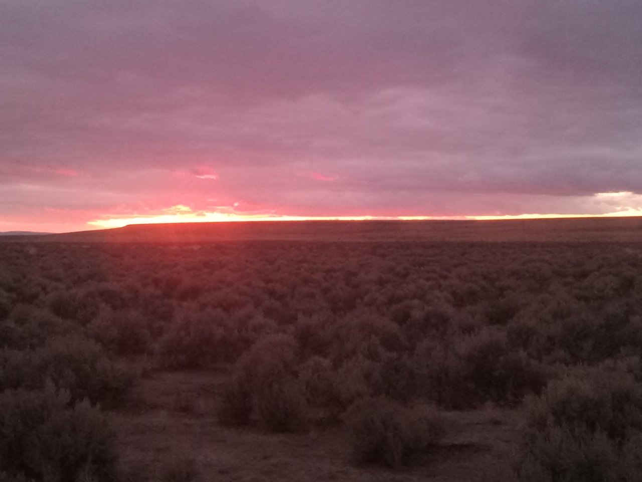 20230930_184249.jpg