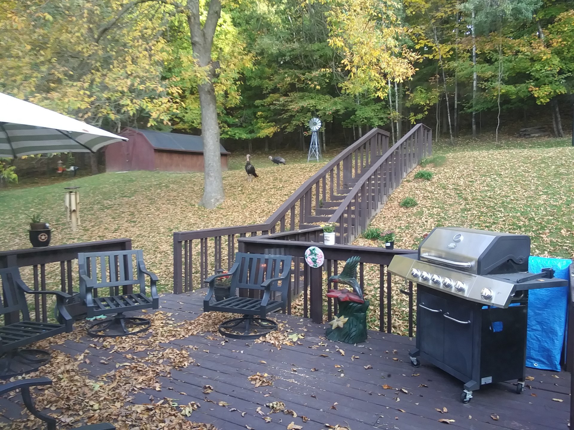 20231003_083300.jpg