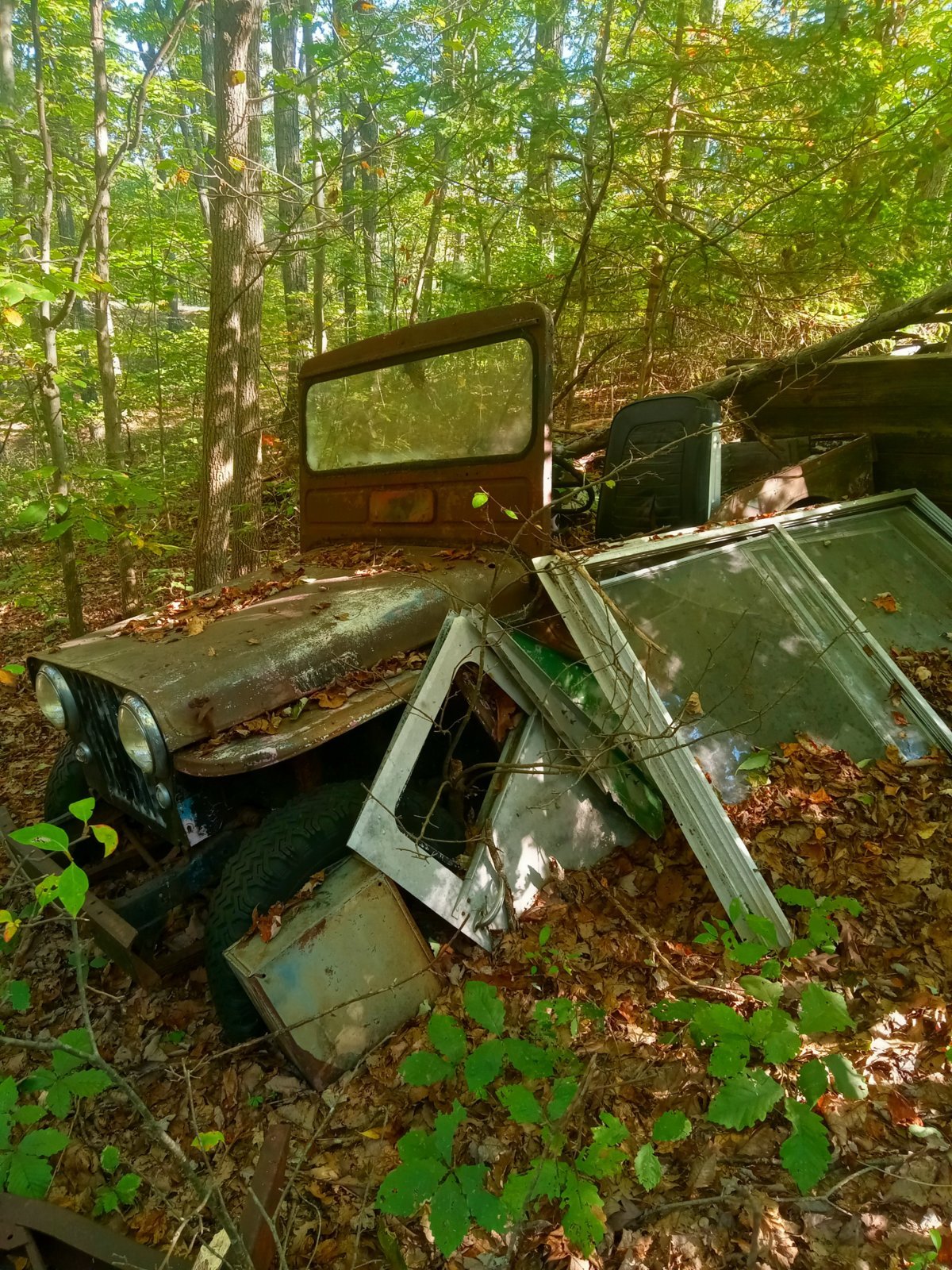 20231004_154834.jpg