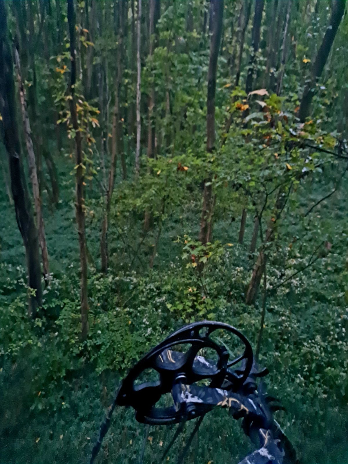 20231006_064453.jpg