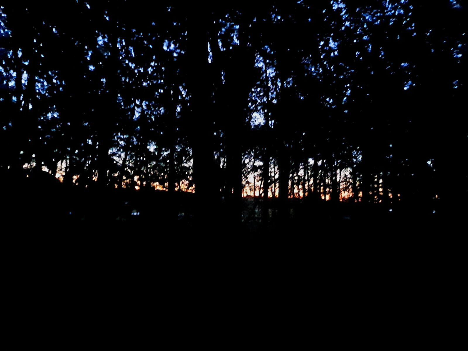 20231007_062816.jpg