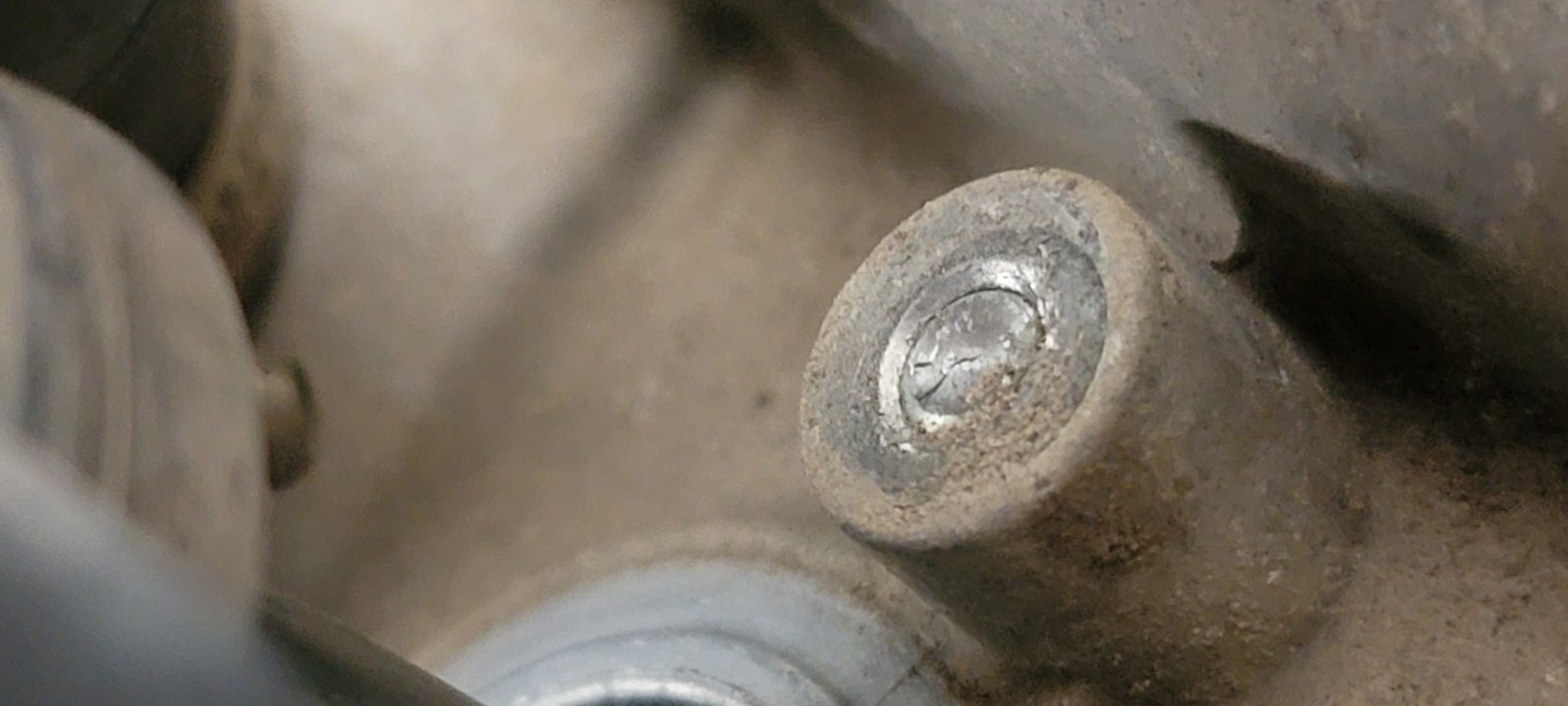 20231007_151413.jpg