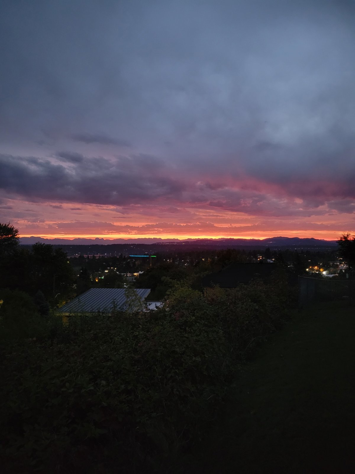 20231009_065213.jpg